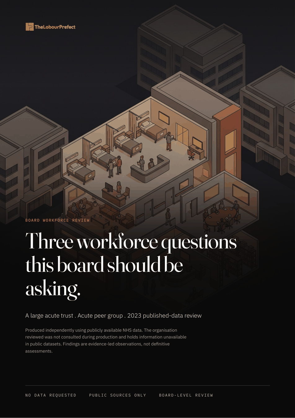 Cover page of the sample board workforce review